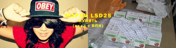 гашик Вязьма