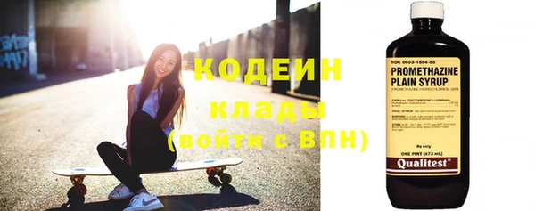 индика Вязники