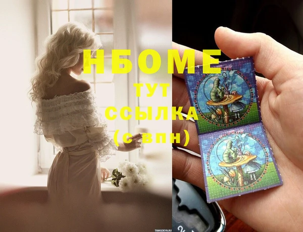 индика Вязники