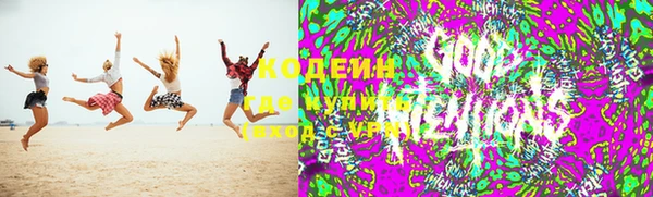 индика Вязники