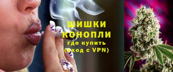 гашик Вязьма