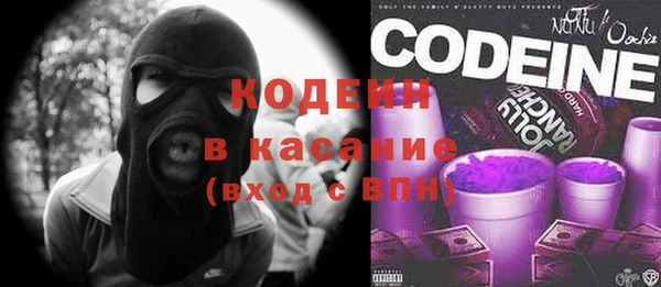 индика Вязники