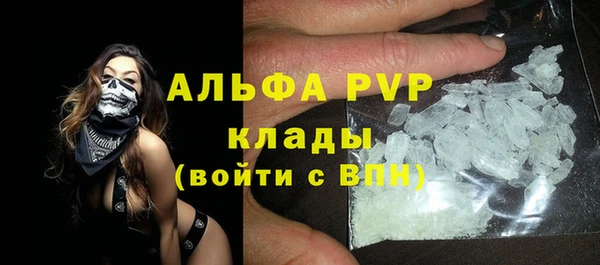 гашик Вязьма